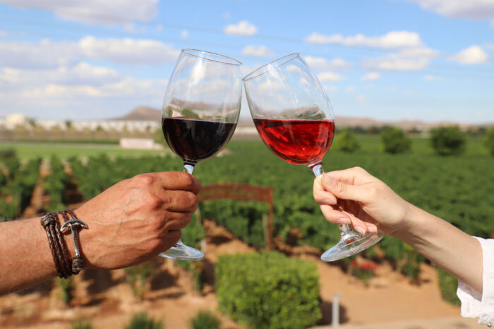 Ruta vino Tierra Adentro